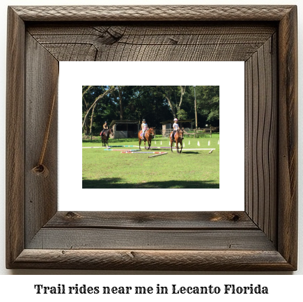 trail rides near me in Lecanto, Florida